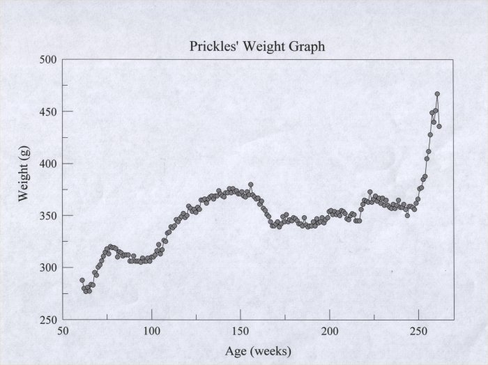 Hedgehog Weight Chart