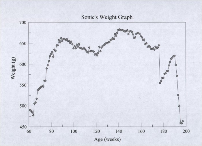 Hedgehog Weight Chart